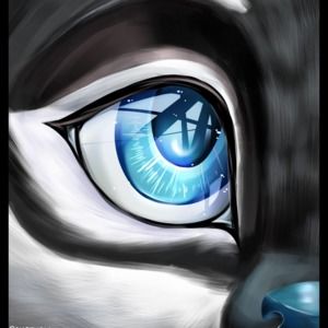 Meet your Posher, Alycia